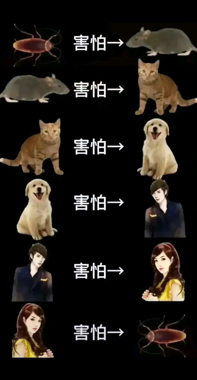 这张照片,你能看懂吗?