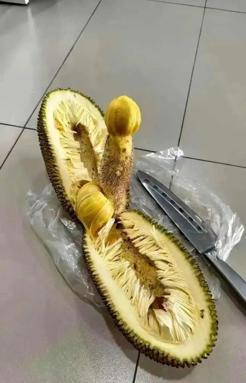 路边摊20元一个的菠萝蜜,买回来切开是这个鬼样,完全不能吃呀,真的是