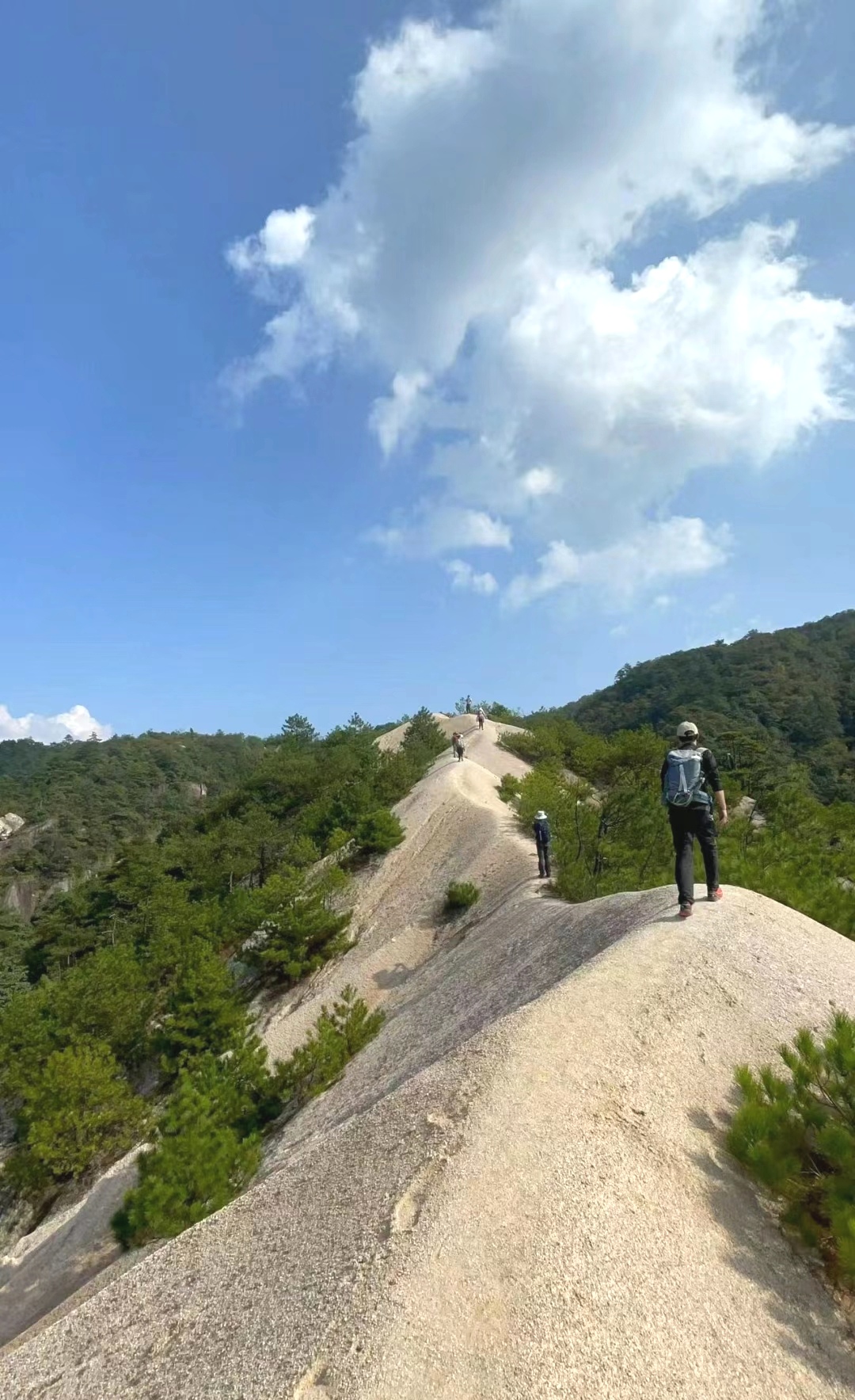 奇峰岭机场空难图片