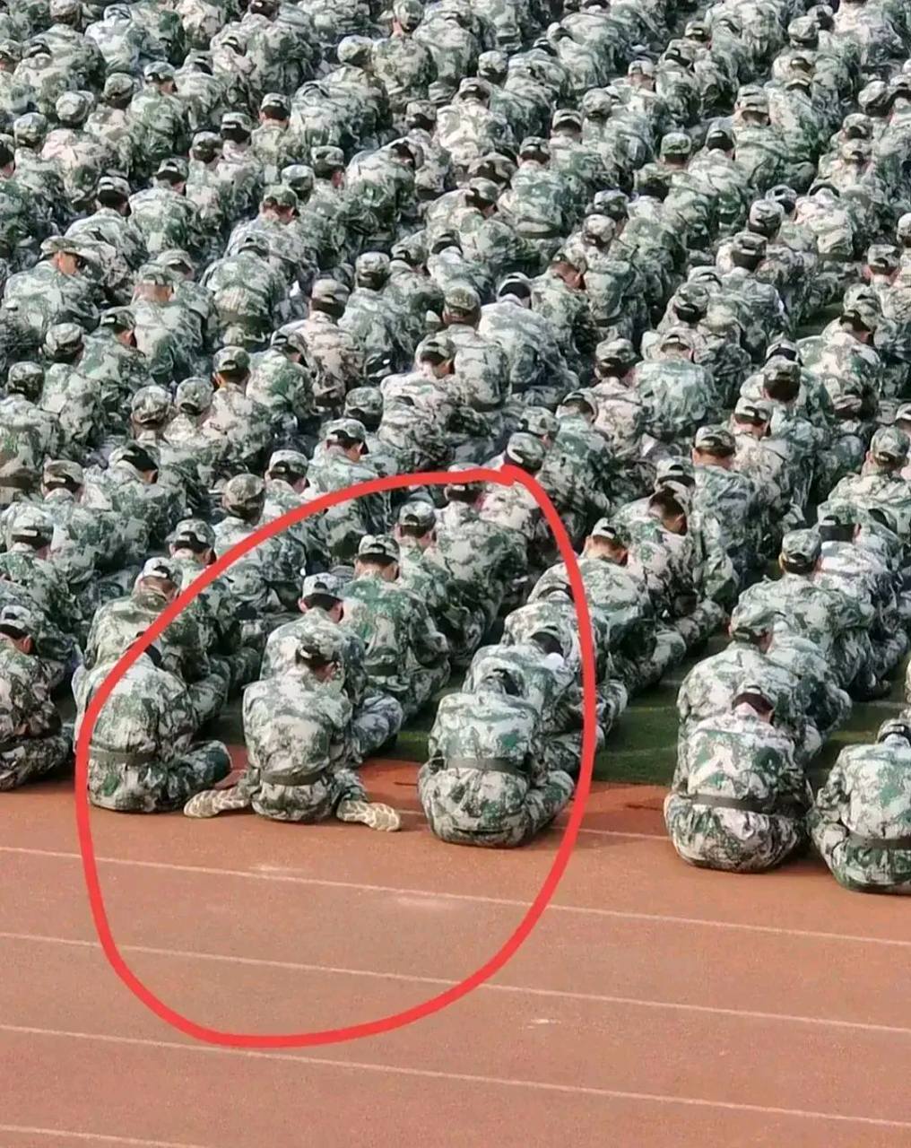 雄兔脚扑朔,雌兔眼迷离