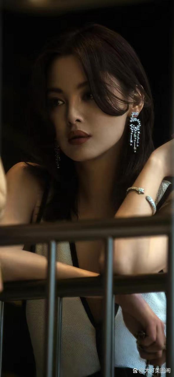 辛芷蕾的嘴唇很性感有点像宋慧乔,演技不错就是不温不火的感觉,没有