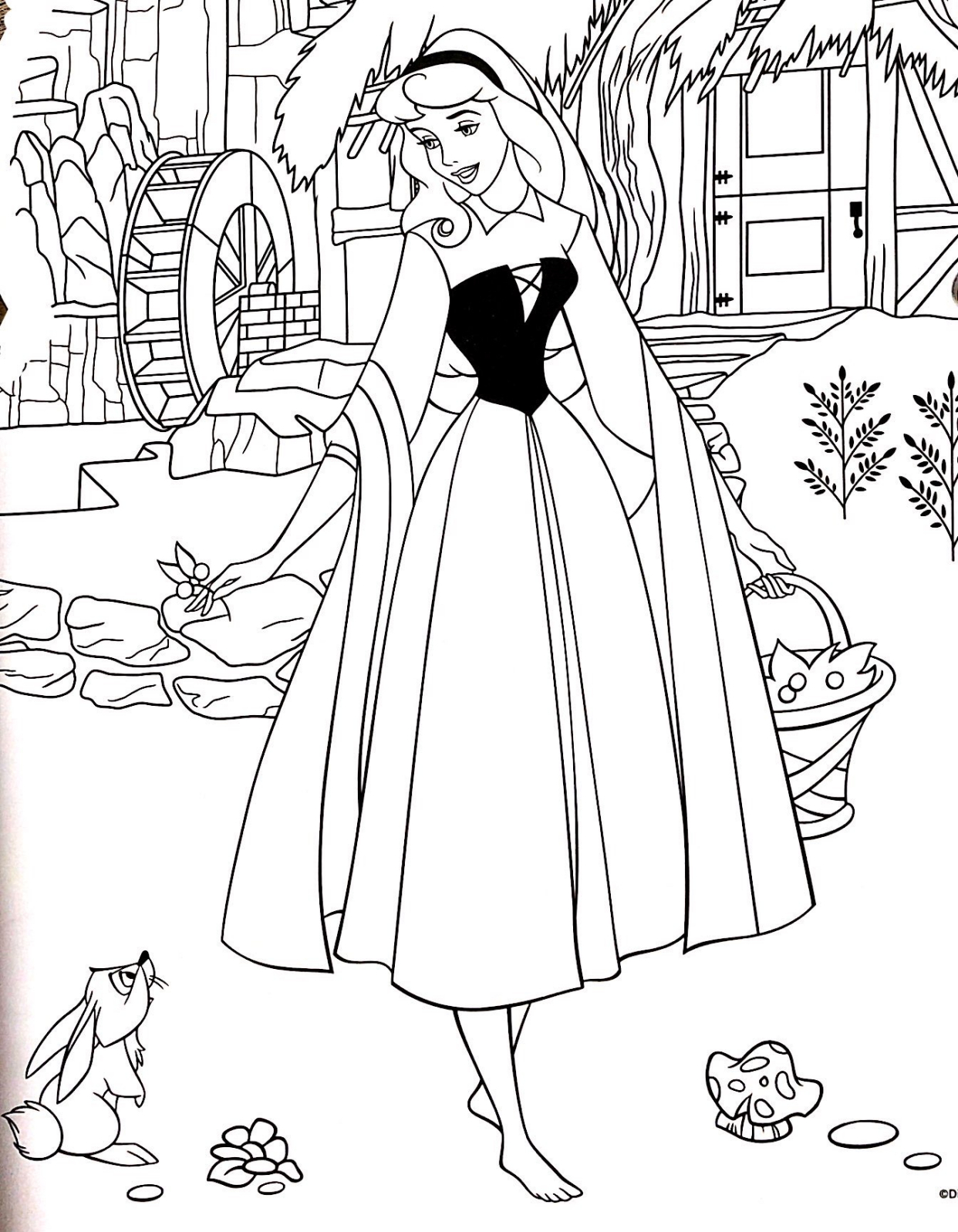 迪士尼公主线稿