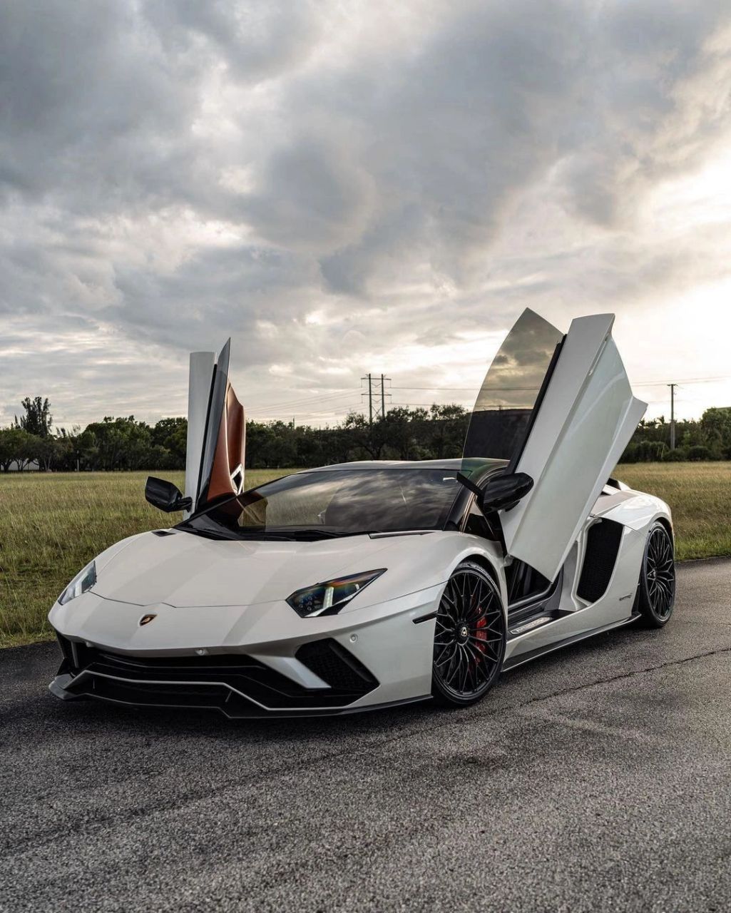 aventador - 一款中置后驱的双座跑车,搭载了一台6.