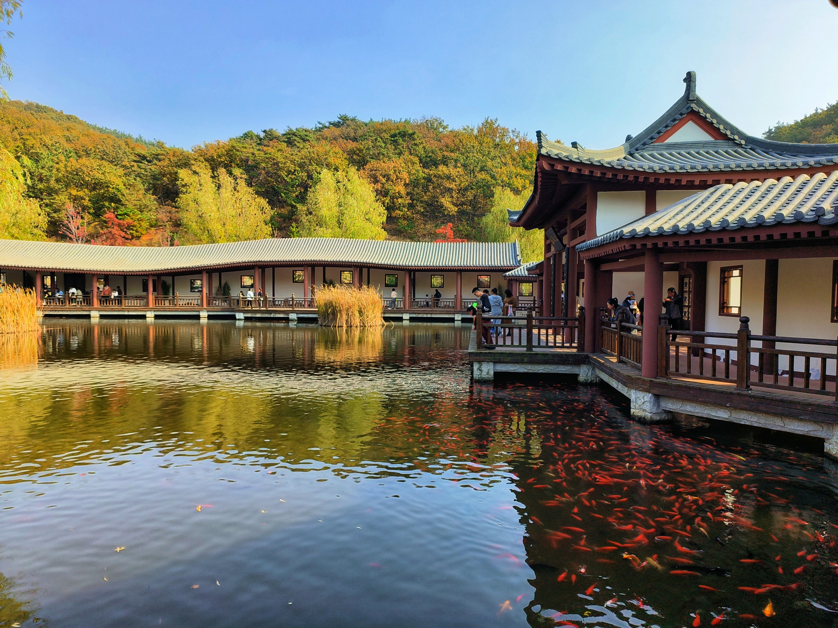 秋日大连横山北普陀主题文化公园,秋意浓,赏秋游玩好地方,还有素食