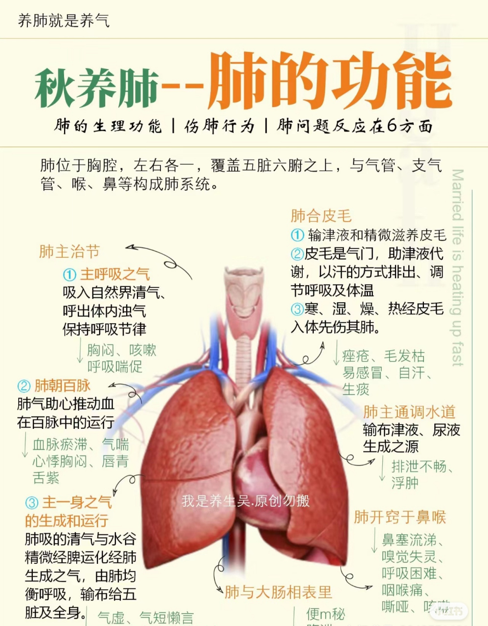 秋养肺,入秋后的最佳脏腑养生指南#中医生活方式医学# #新冠