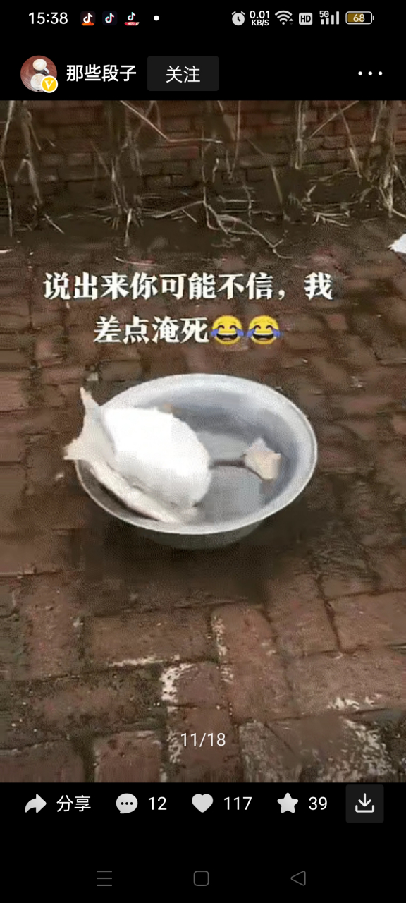 差点淹死的鸭子