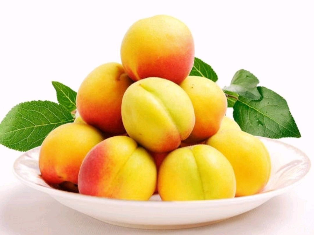 彭阳红梅杏有假 官方硬核力量打击 学会辨真假不吃亏