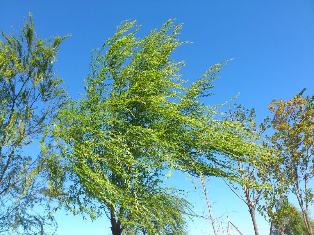 真实有效的戒烟攻略,值得你一看!