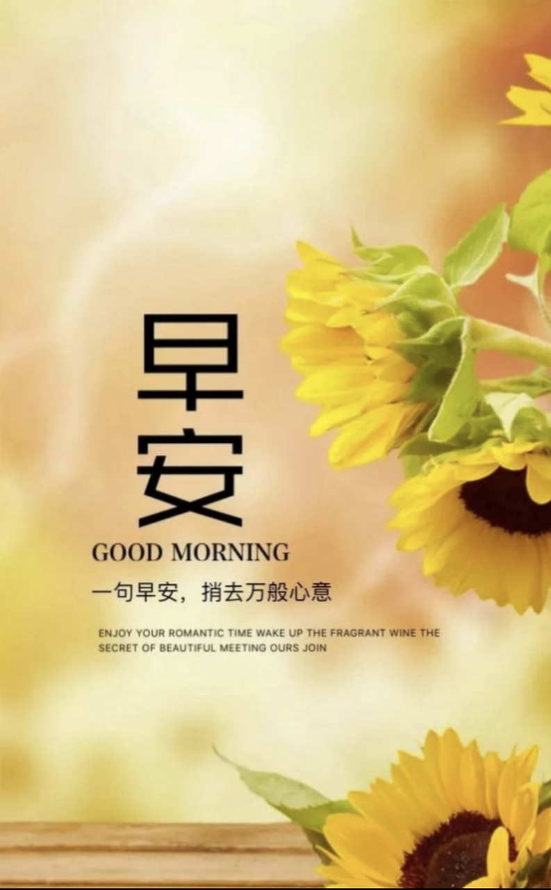 不管阴天雨天,有好心情就是晴天;不管忙碌悠闲,摆好心态就赛神仙;不管