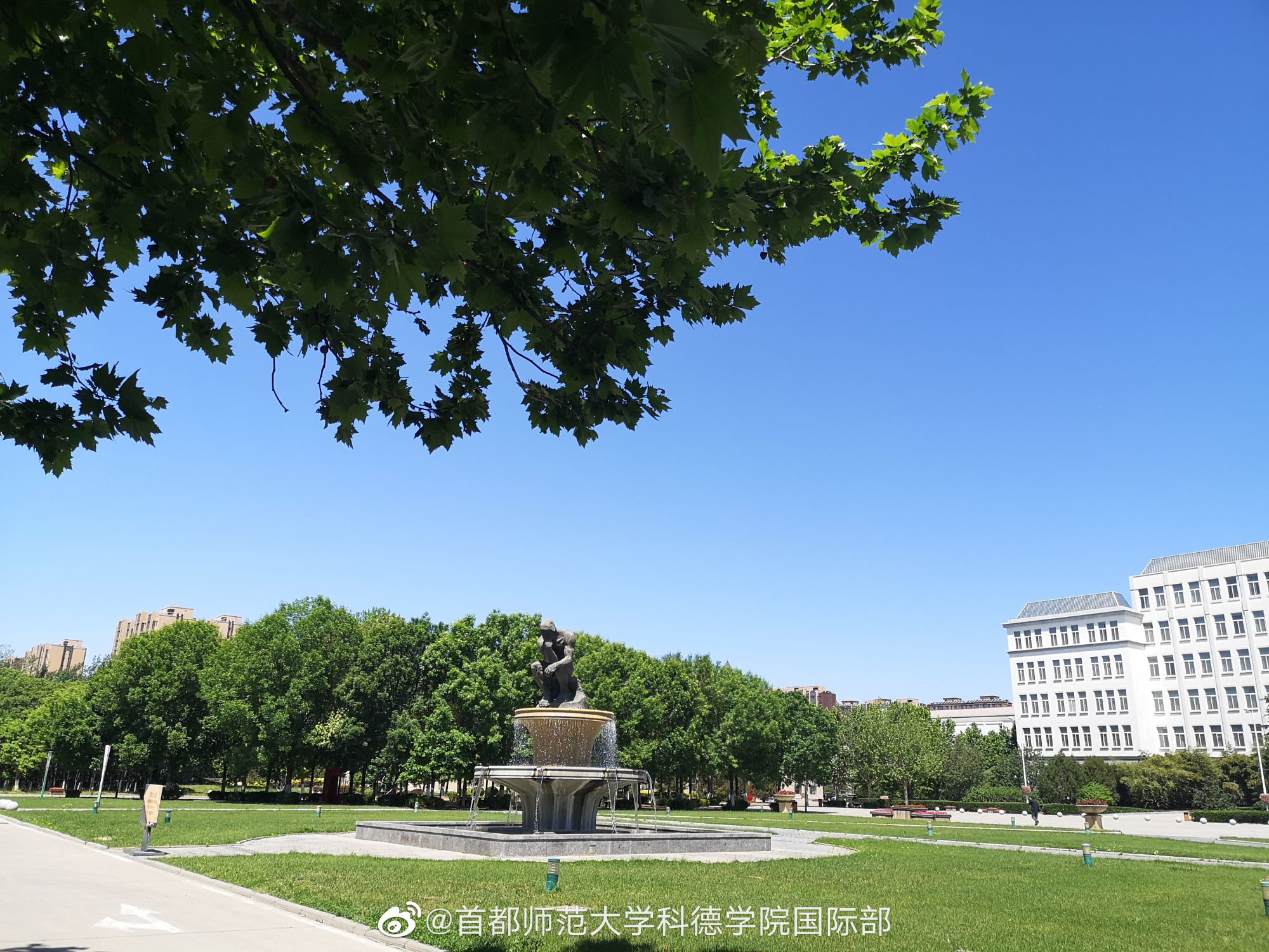 2022年你高考报名成功了吗?科德学院校考即将开始