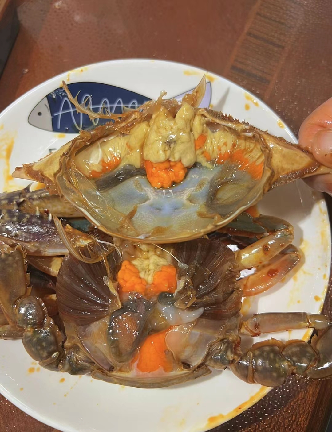 毛蚶甲肝