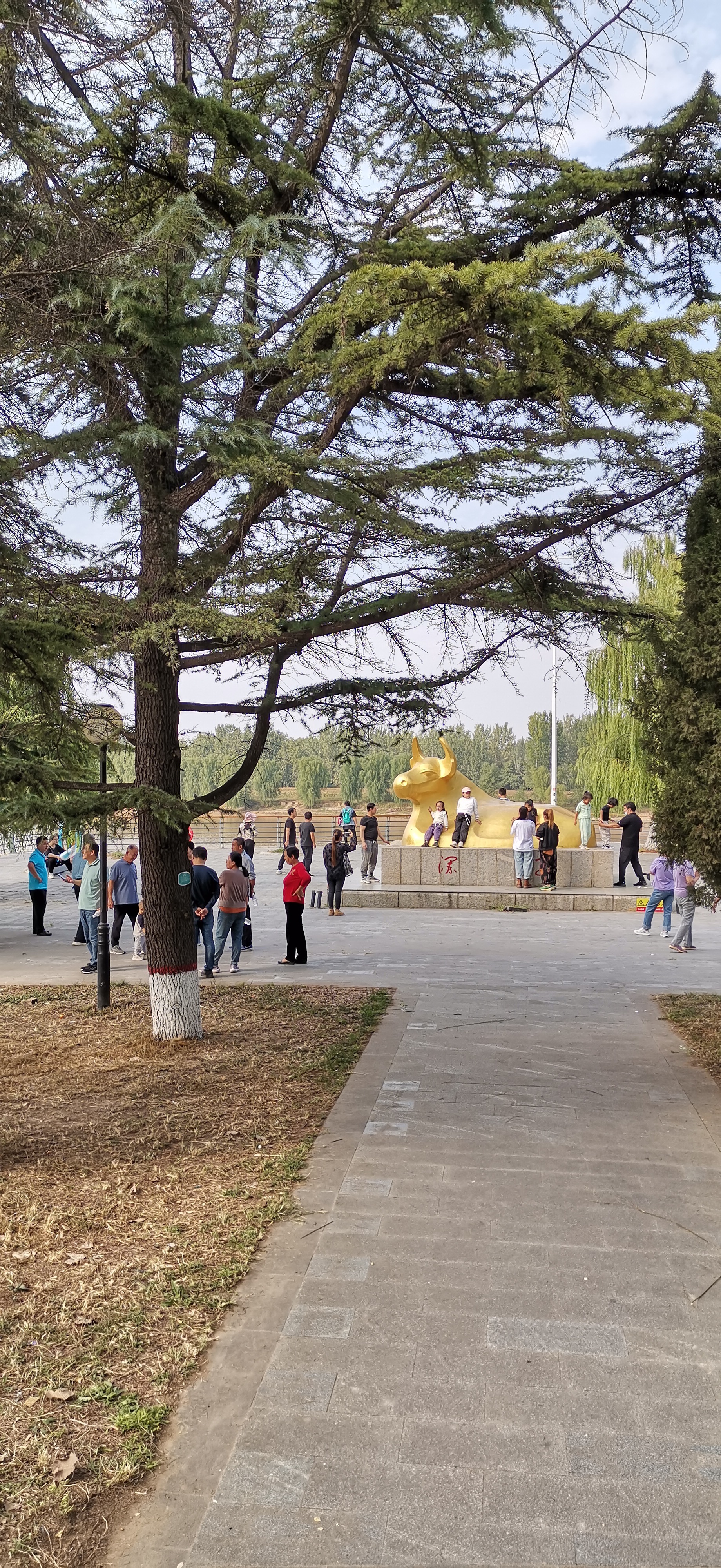 高青安澜湾风景区照片图片