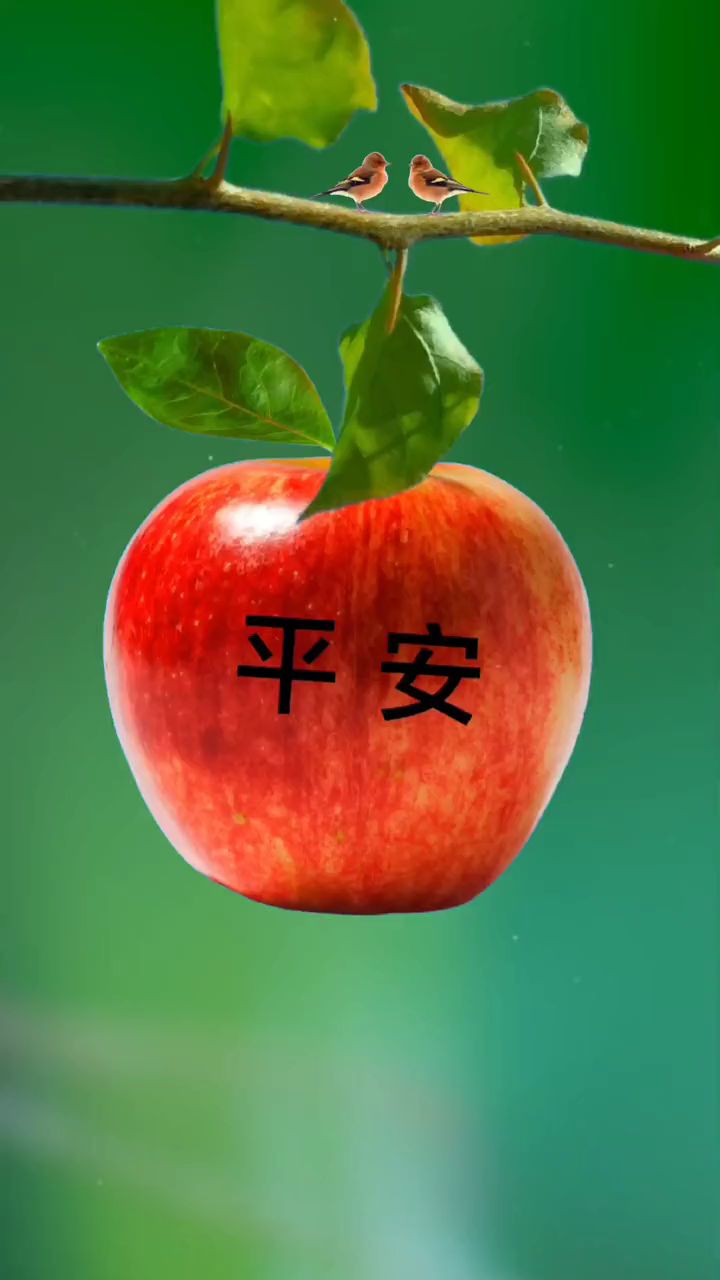 在无法预知的未来,希望我们都平平安安就好.