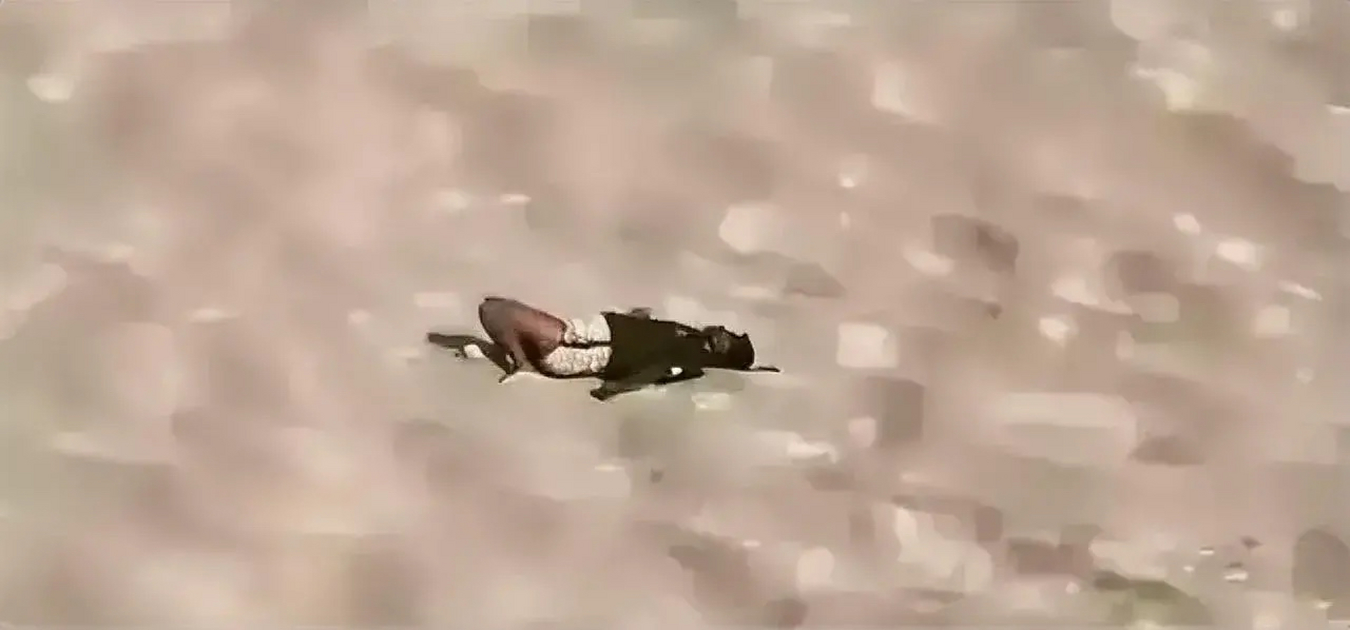 已经碳化变黑了,据说沙漠温度高达70℃他已经超出了死嗨惺艿募