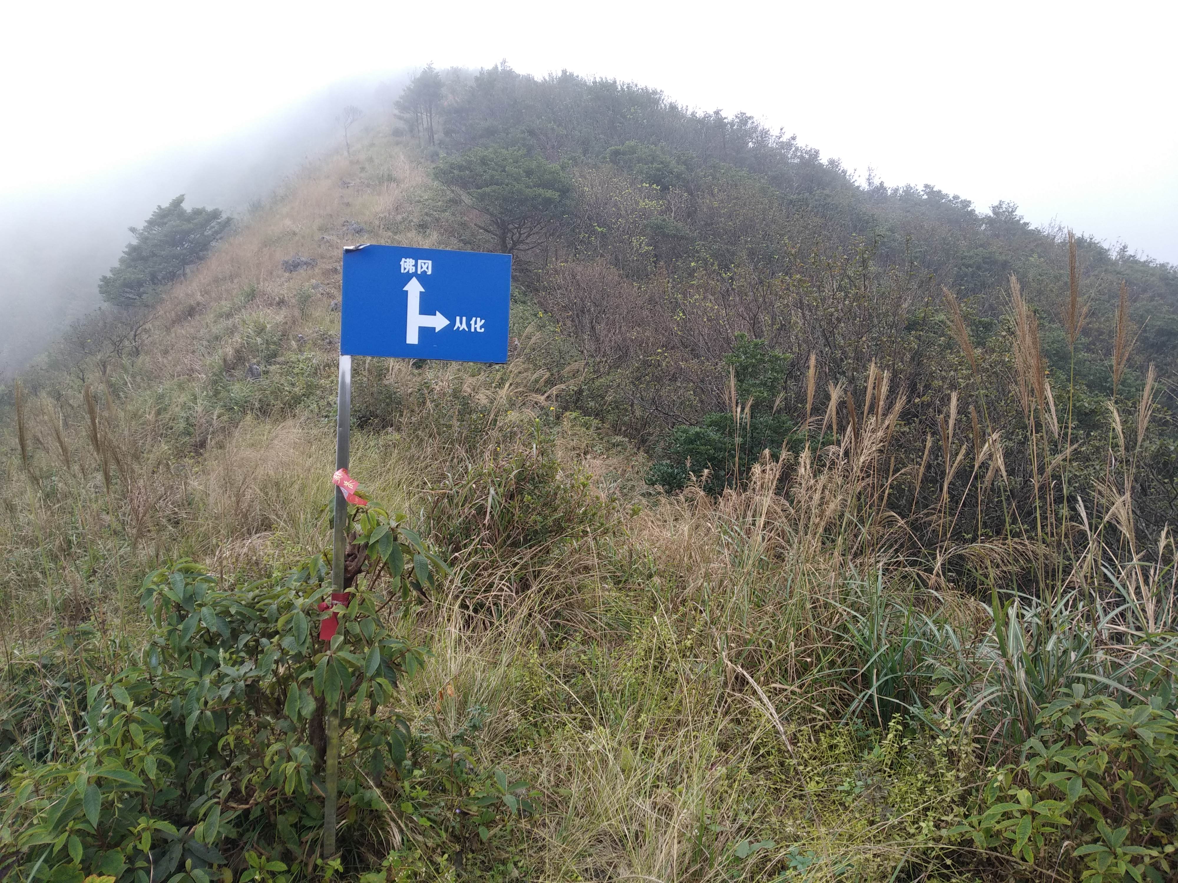 从化通天蜡烛山简介图片