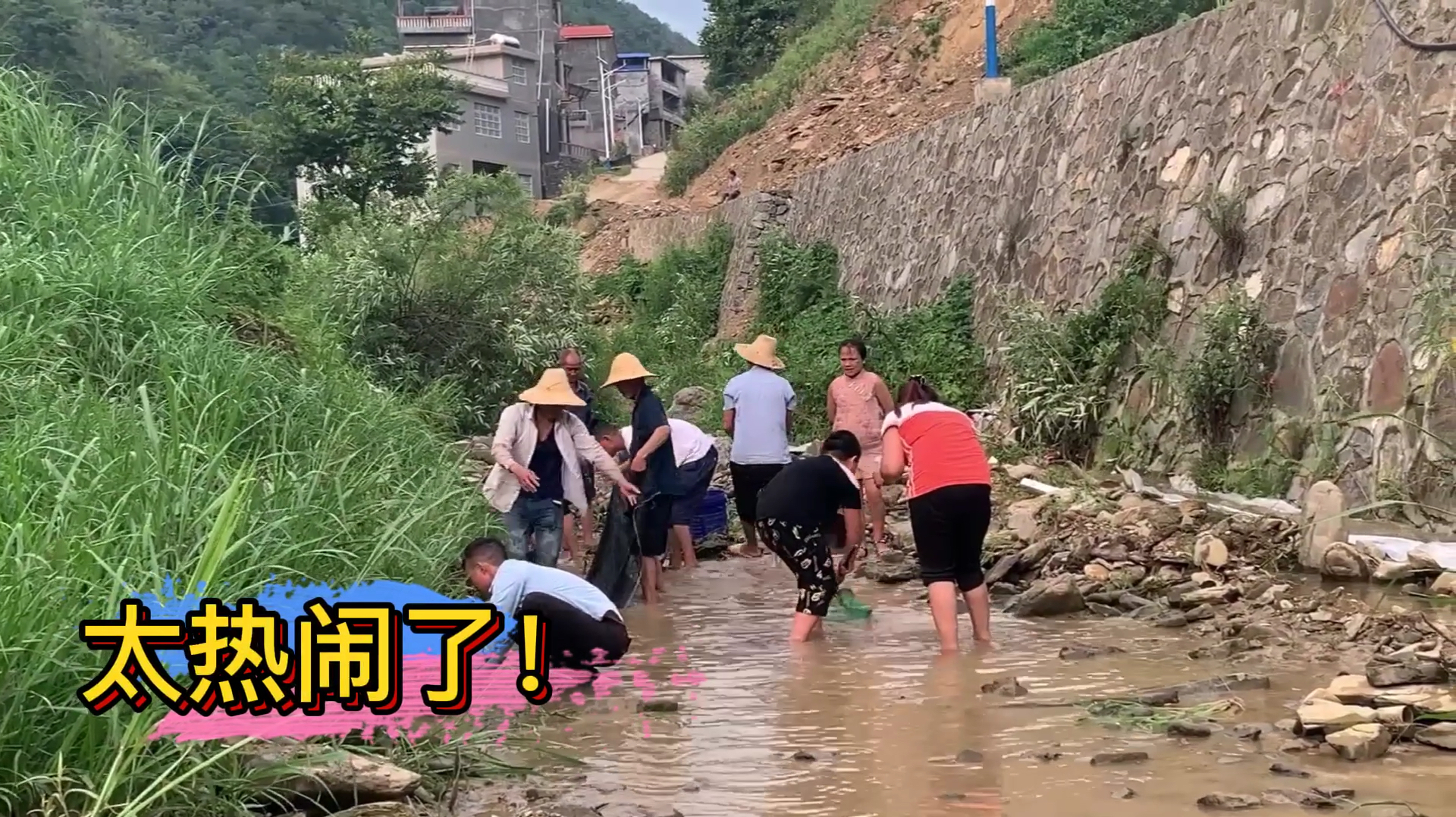 农村小溪鱼真多,十几个人抢着捕捉好过瘾,太好玩了!