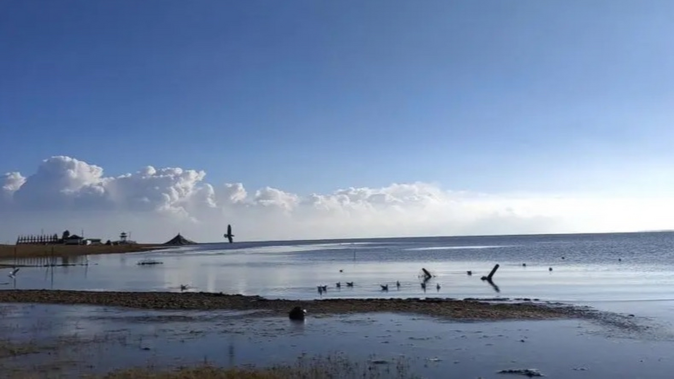 青海湖是中国最大的内陆湖泊,也是中国最美的湖泊之一.