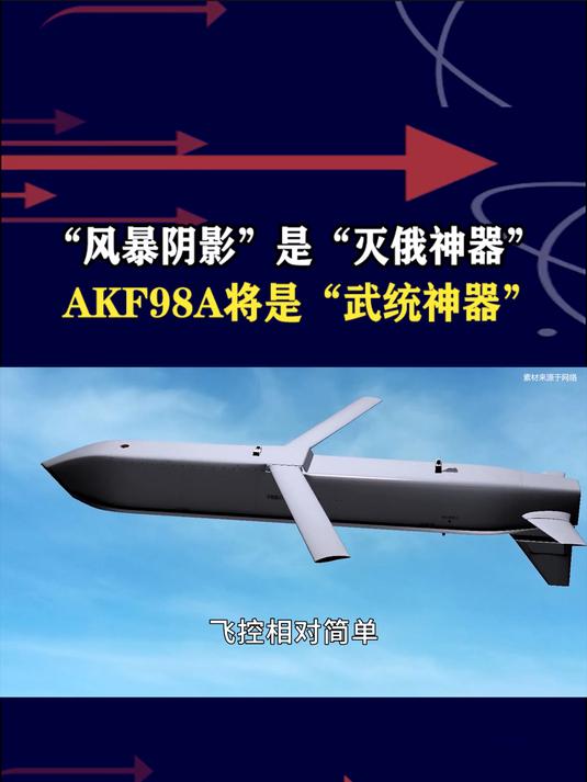 中国空射隐身巡航导弹图片