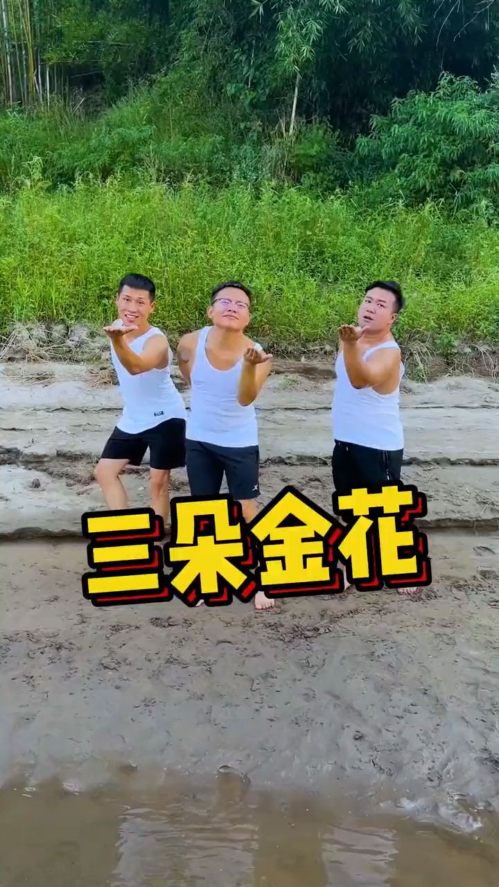 三朵金花!