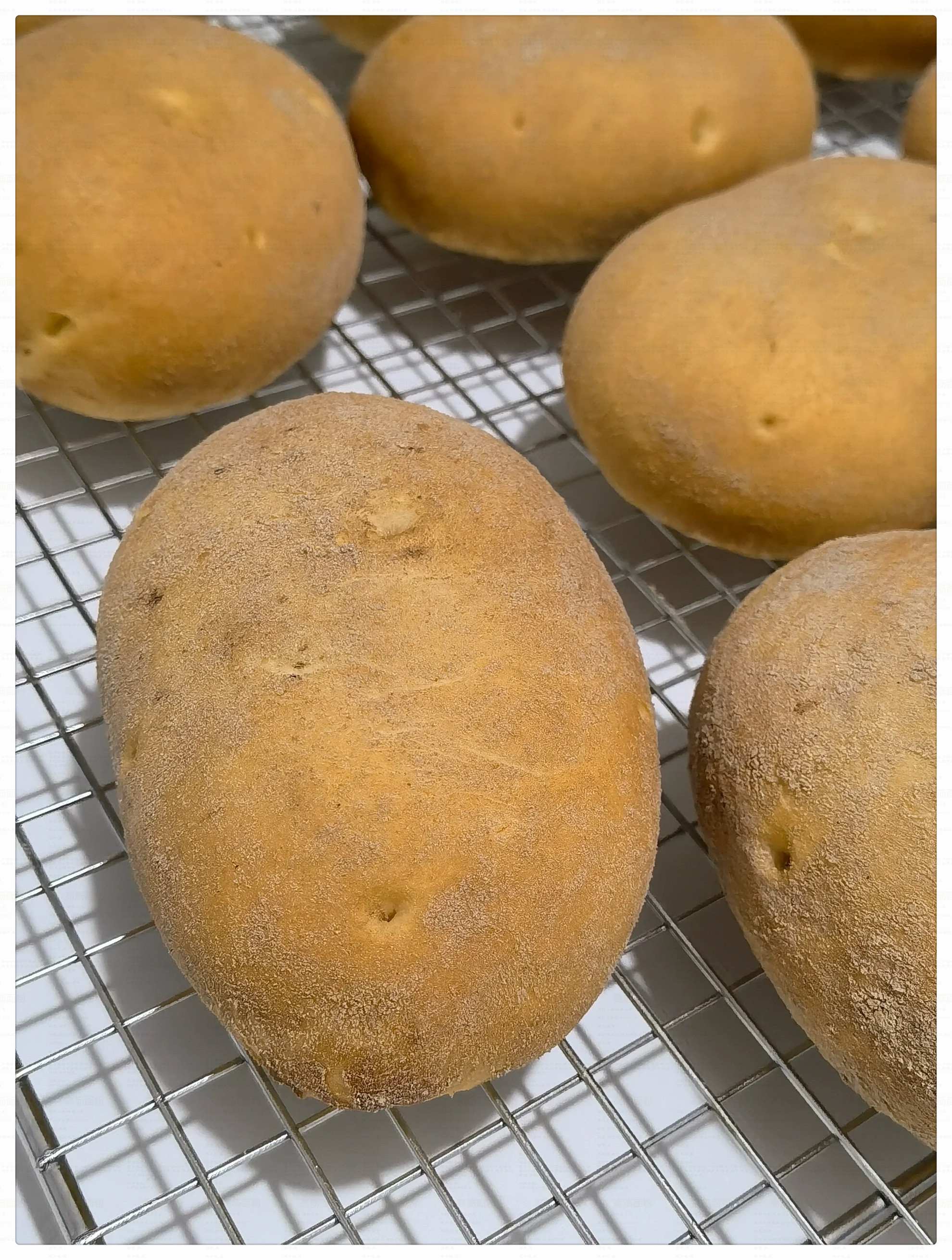 谁还分得清土豆和面包