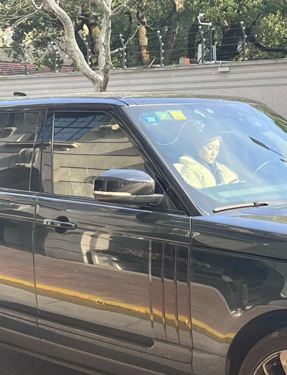 路拍坐在车里的孙俪  #孙俪