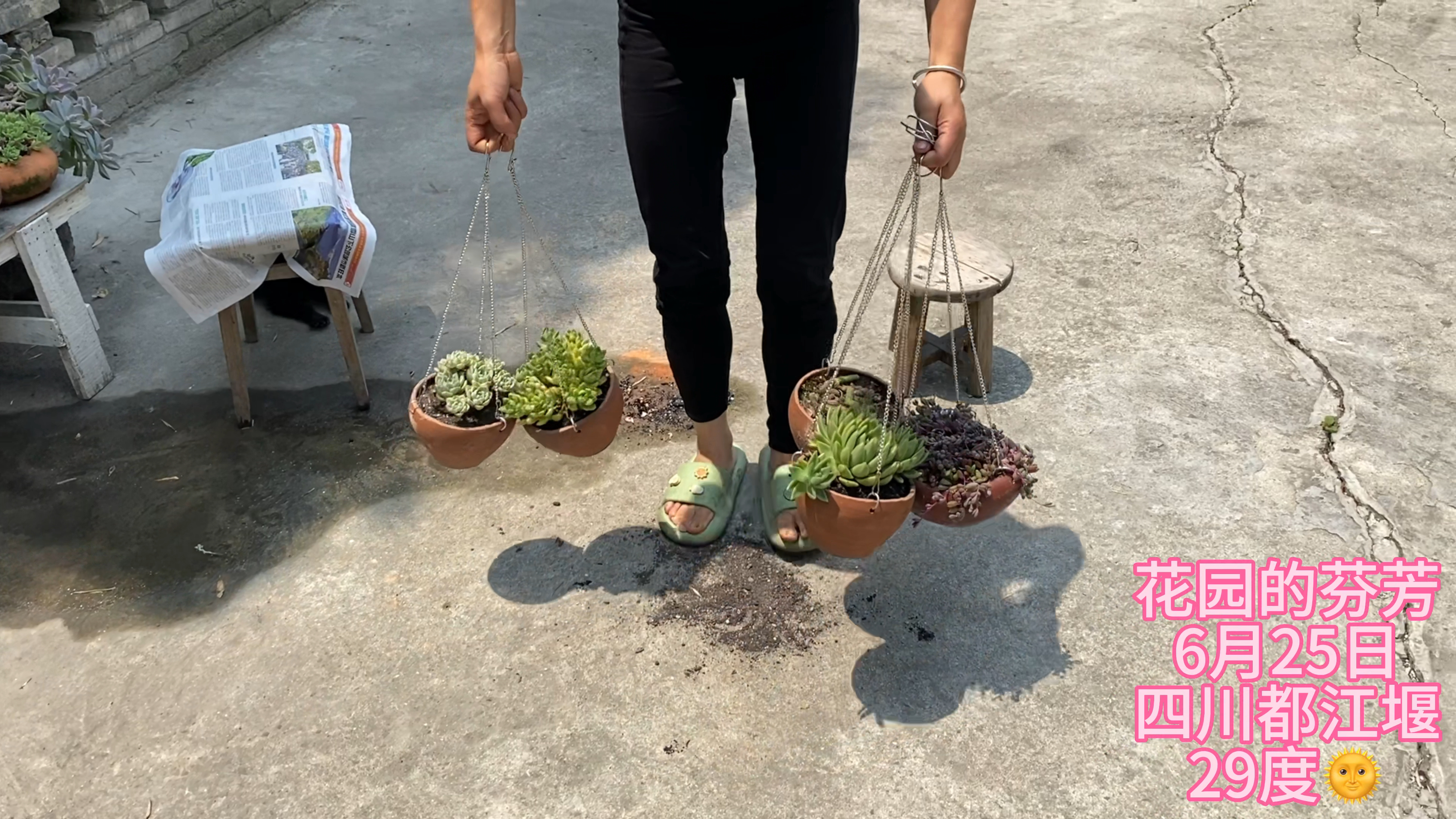 用泡菜坛做5个吊盆,这样简单改造一下,种肉肉是不是更好?