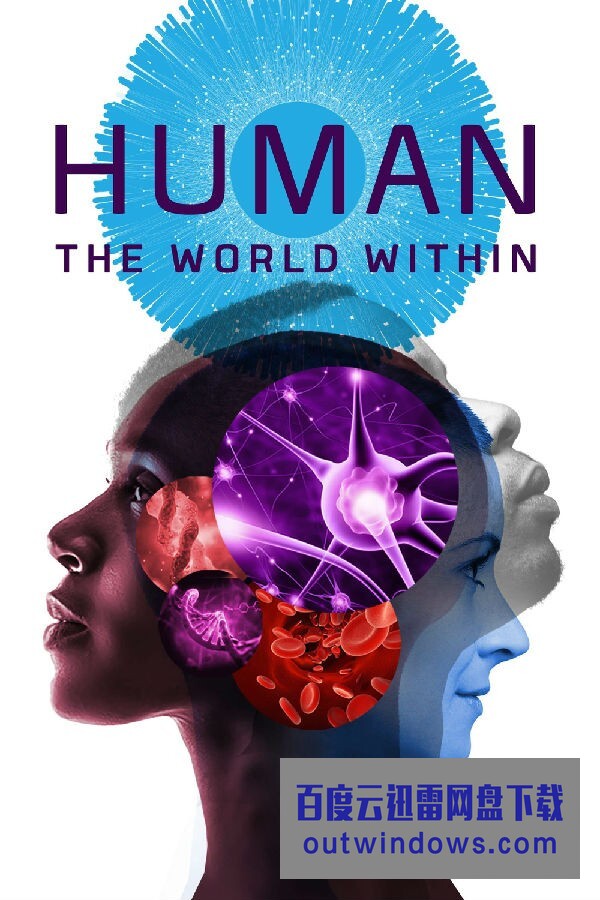 [电视剧][人类：体内的世界 Human: The World Within][全06集][英语中字]1080p|4k高清