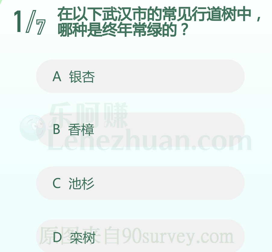 香樟树在武汉市的常见行道树中是终年常绿的