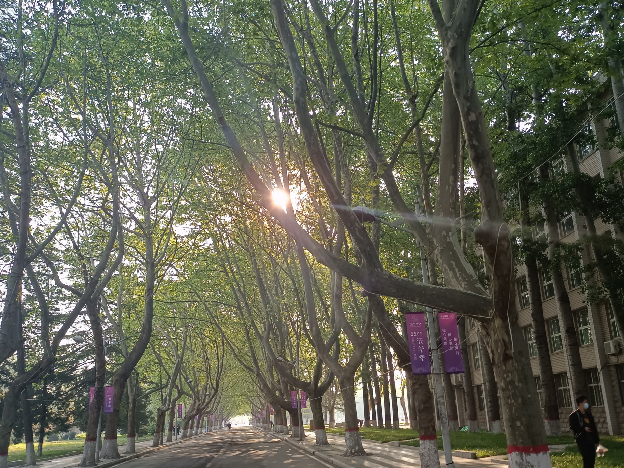 邯郸学院清晨美景