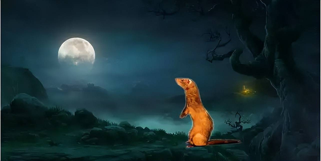 探秘中国民间三大"成仙"的动物之一黄鼠狼