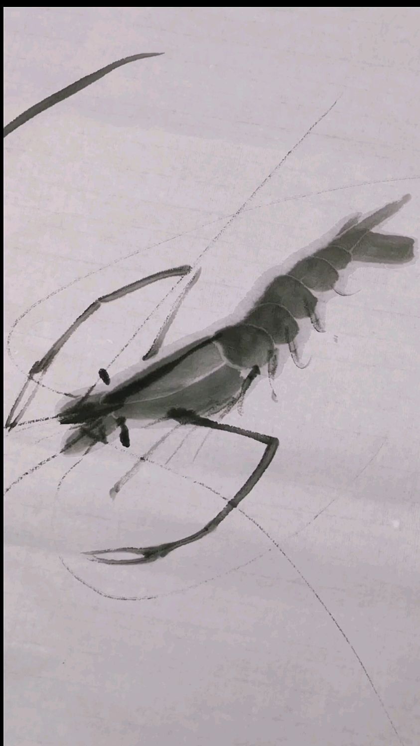 水墨虾画法步骤一起画画吧