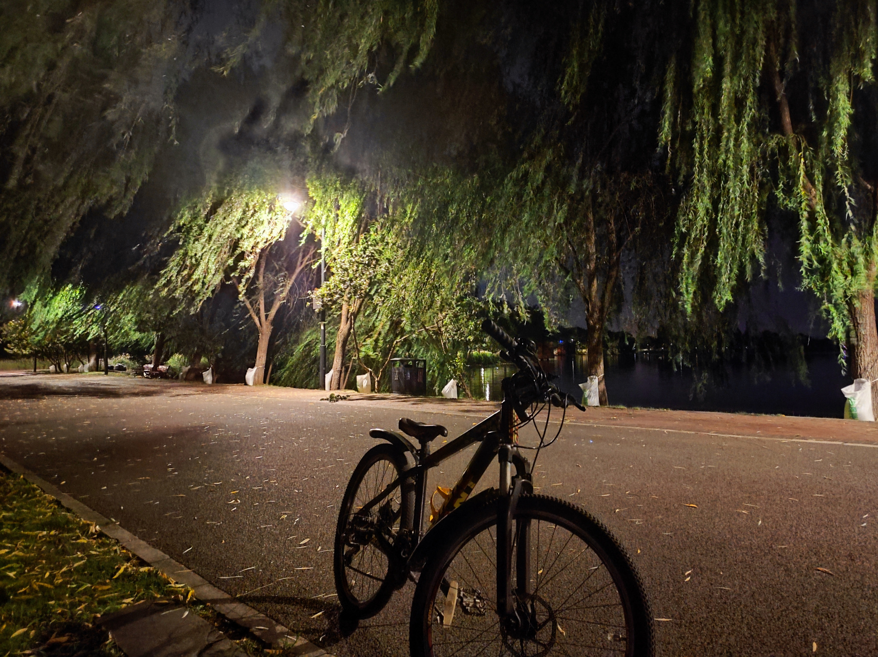 第一次夜骑东湖,风吹得好惬意,以前咋没想到晚上来骑行呢?