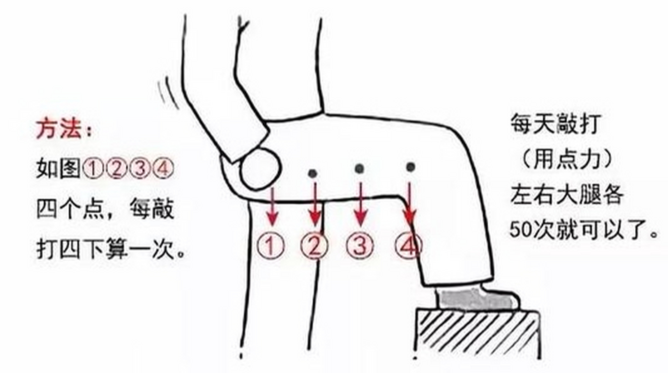 大腿上的经络图图片