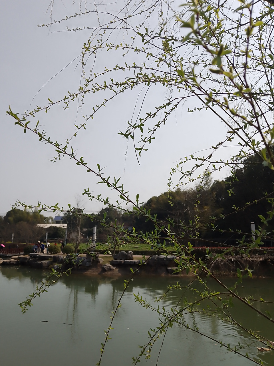 无题 ∽∽∽∽∽∽∽ 髻子慵挽娇睡迟,三月尘香飞絮时.