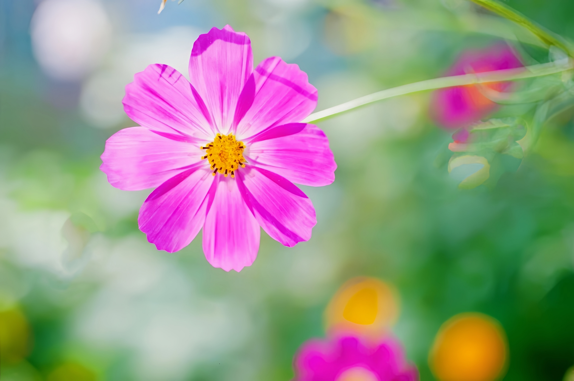 做事先要做人,做人先要正心, 积德行善感恩,日月可鉴人心.