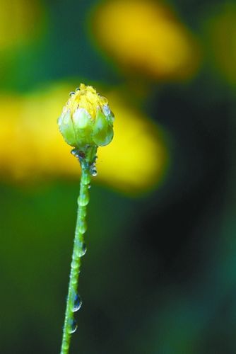 334_500竖版 竖屏