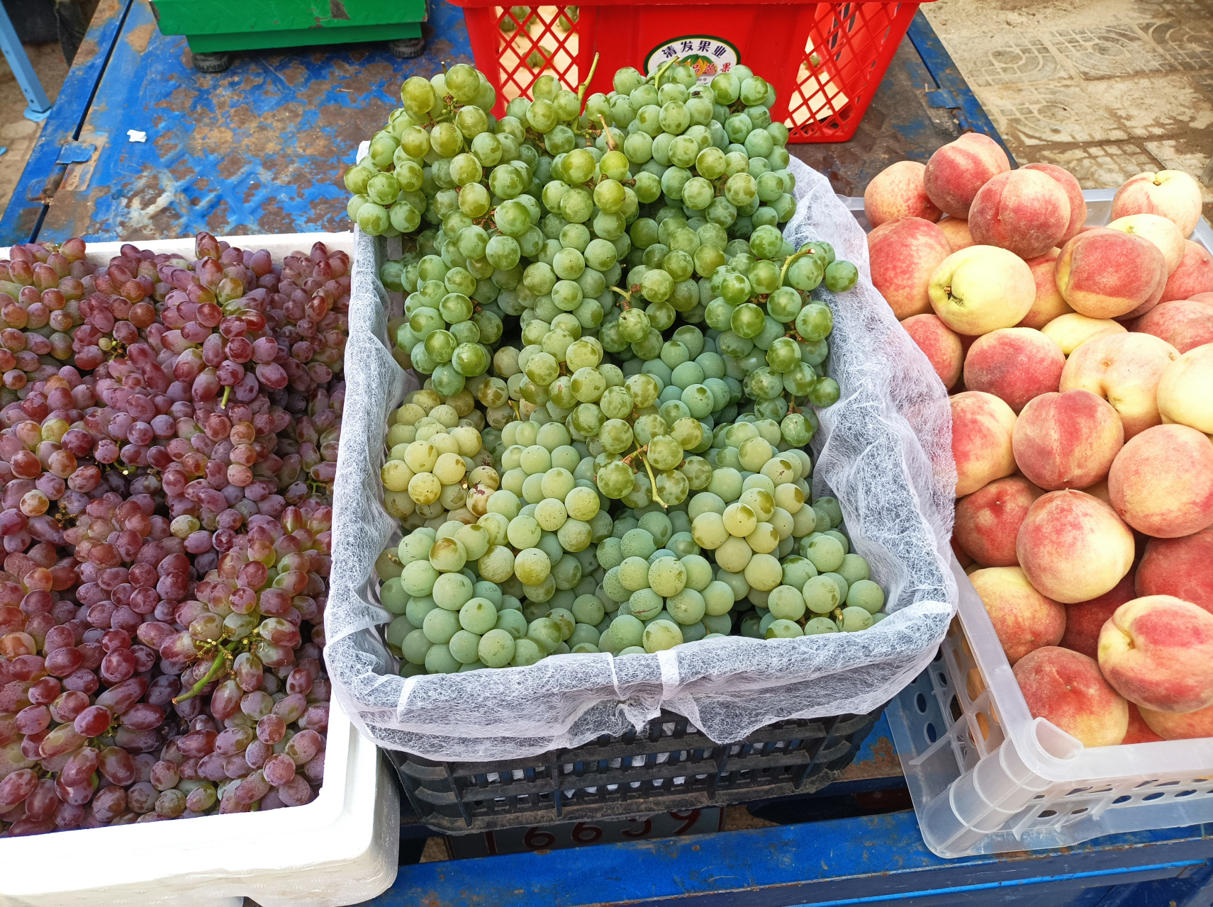 摆摊卖水果赚钱吗?看看今天卖的这个葡萄. 坐标云南红河.