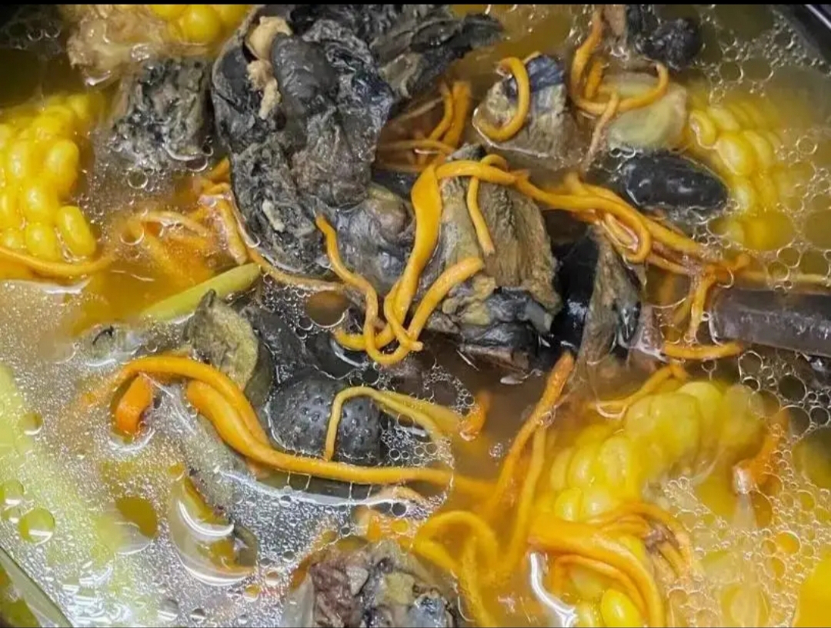 我的美食分享#  虫草花乌鸡汤  食材:虫草花,淮山片,黄芪,当归