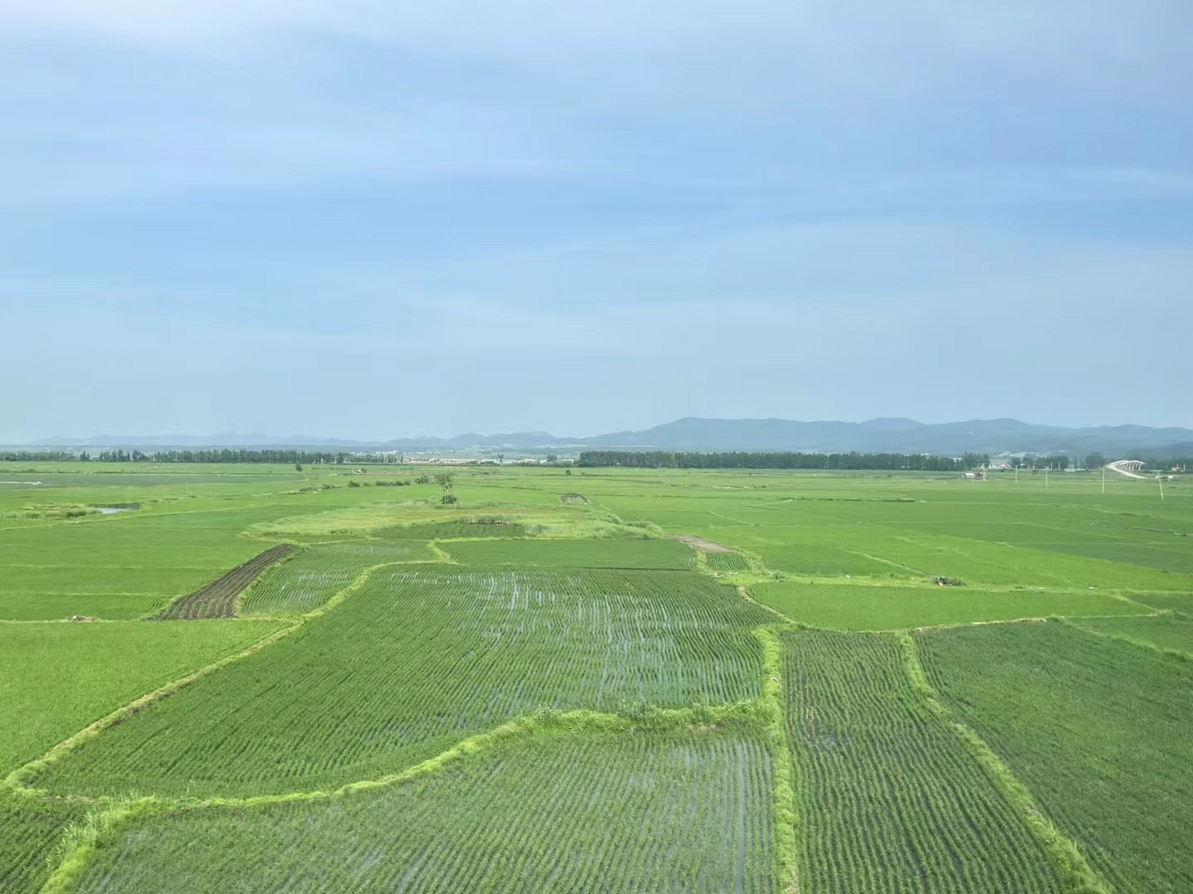 黑龙江辽阔的田野,织起绿色的希望