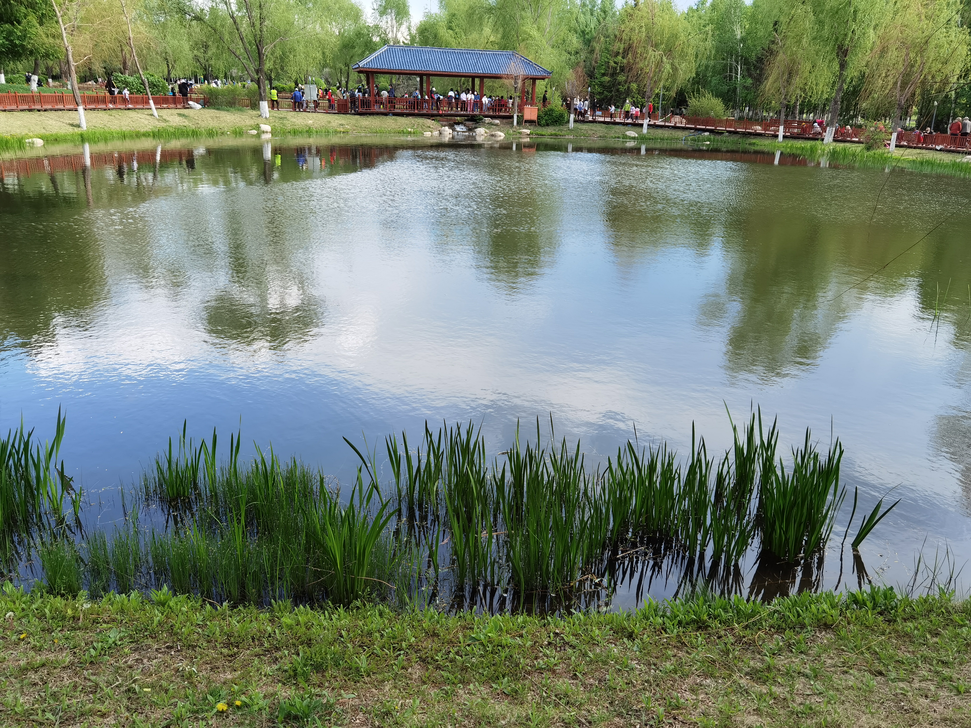 長春百花園美景