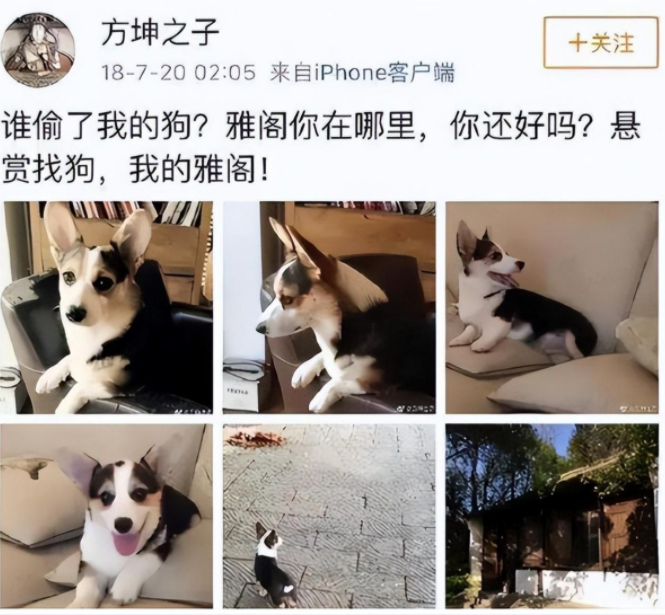 真新闻还是假新闻?从吴亦凡到华晨宇,个个都离谱