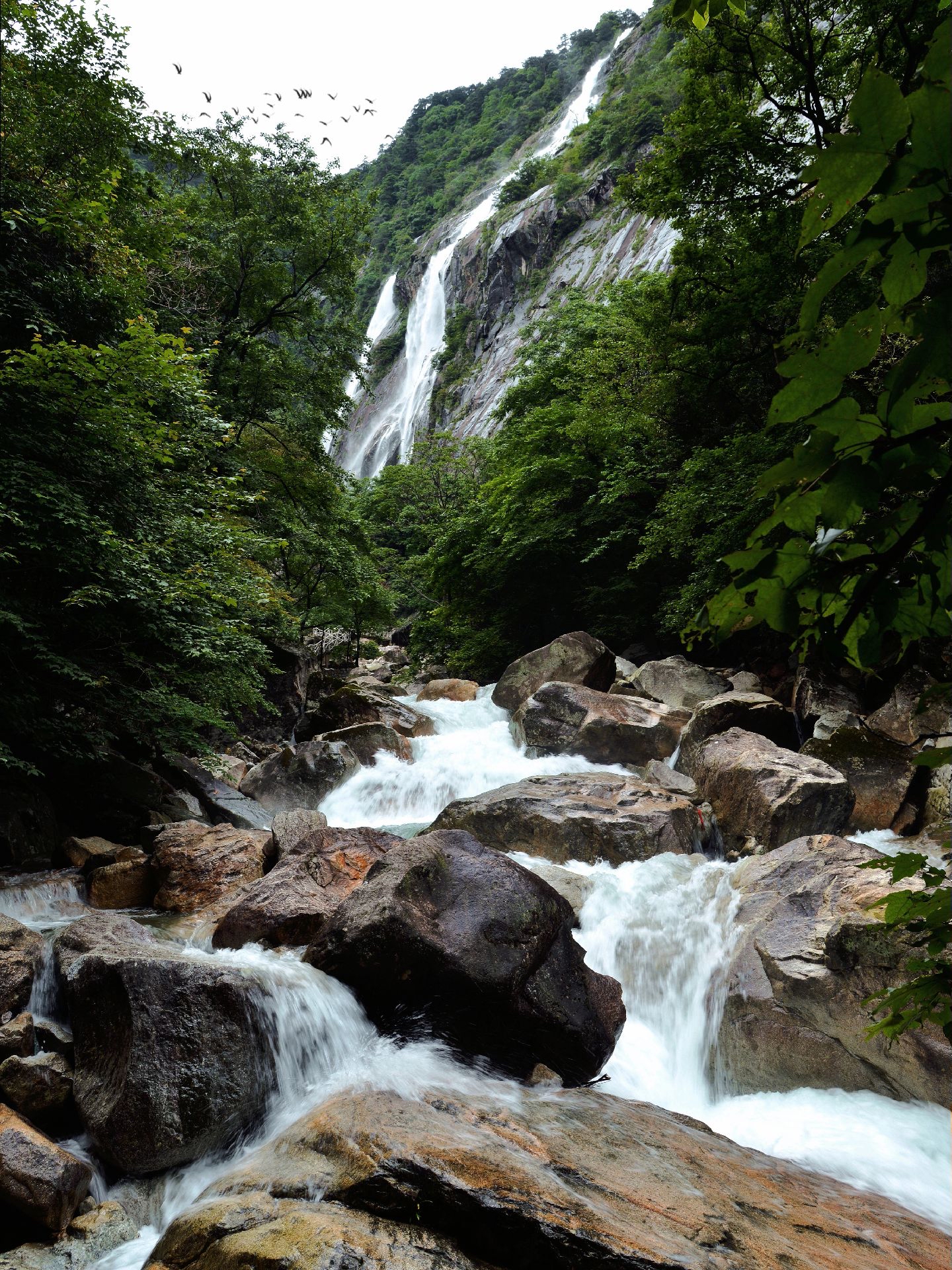 大鄣山卧龙谷旅游区图片