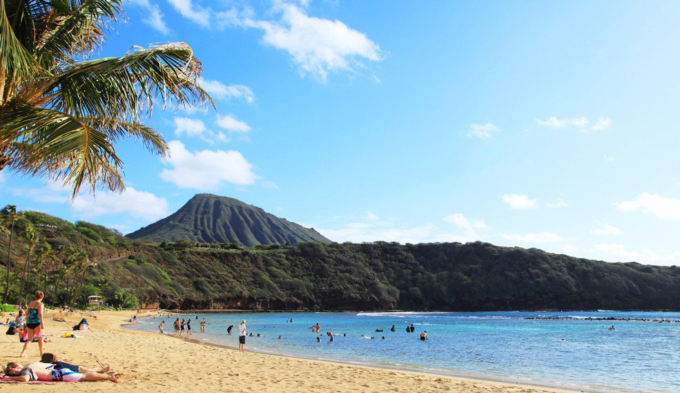 夏威夷海运物流专线-海运出口到美国檀香山夏威夷