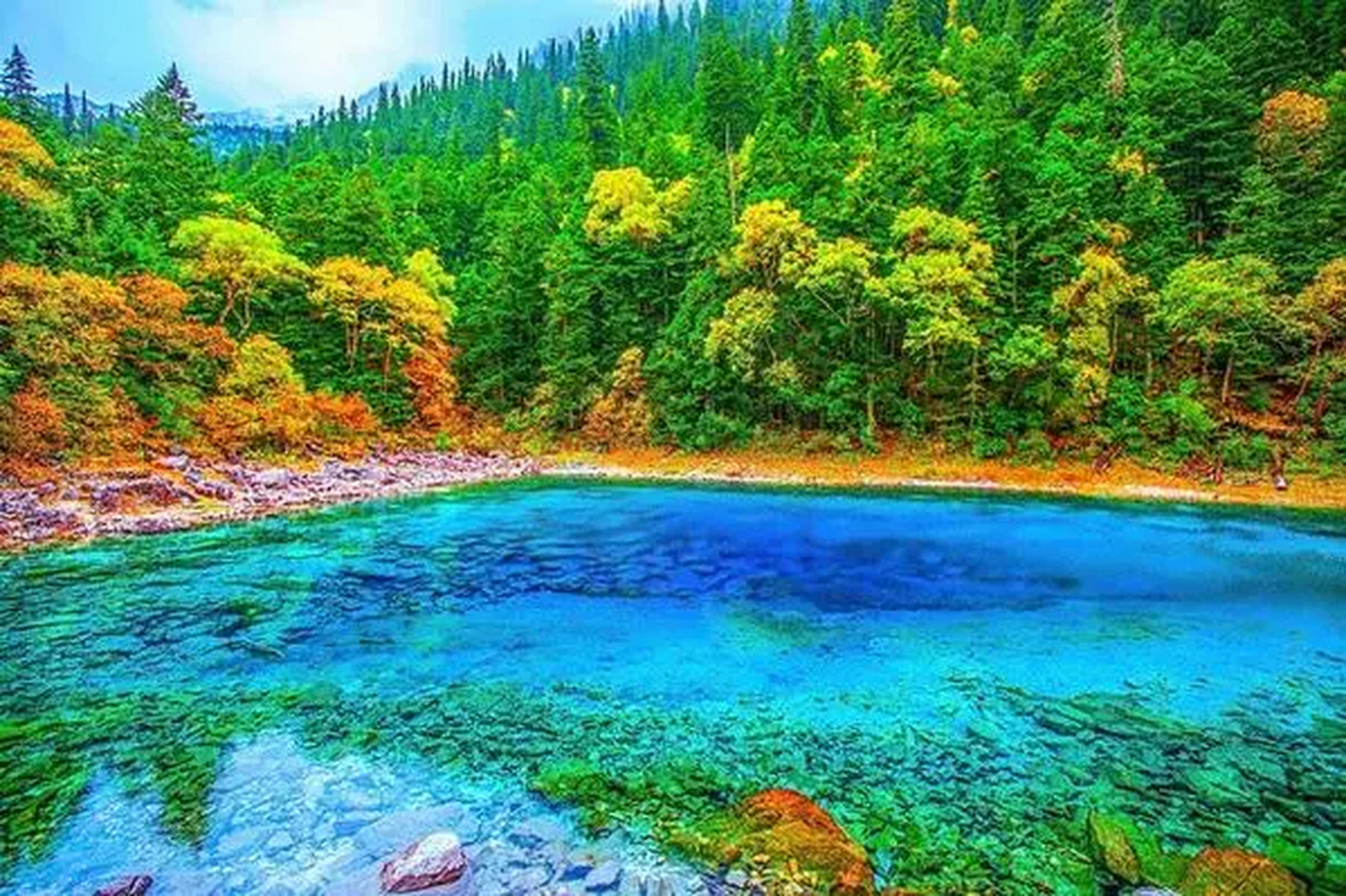 五彩池是四川甘孜州石渠县的一处景点,它以其绚丽多彩的颜色和独特