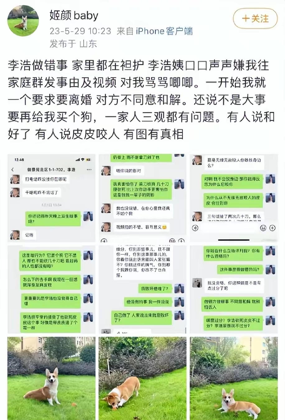 山東男子砍狗威脅媳婦後續:拘留十二天,罰款三百,羅翔一語中的