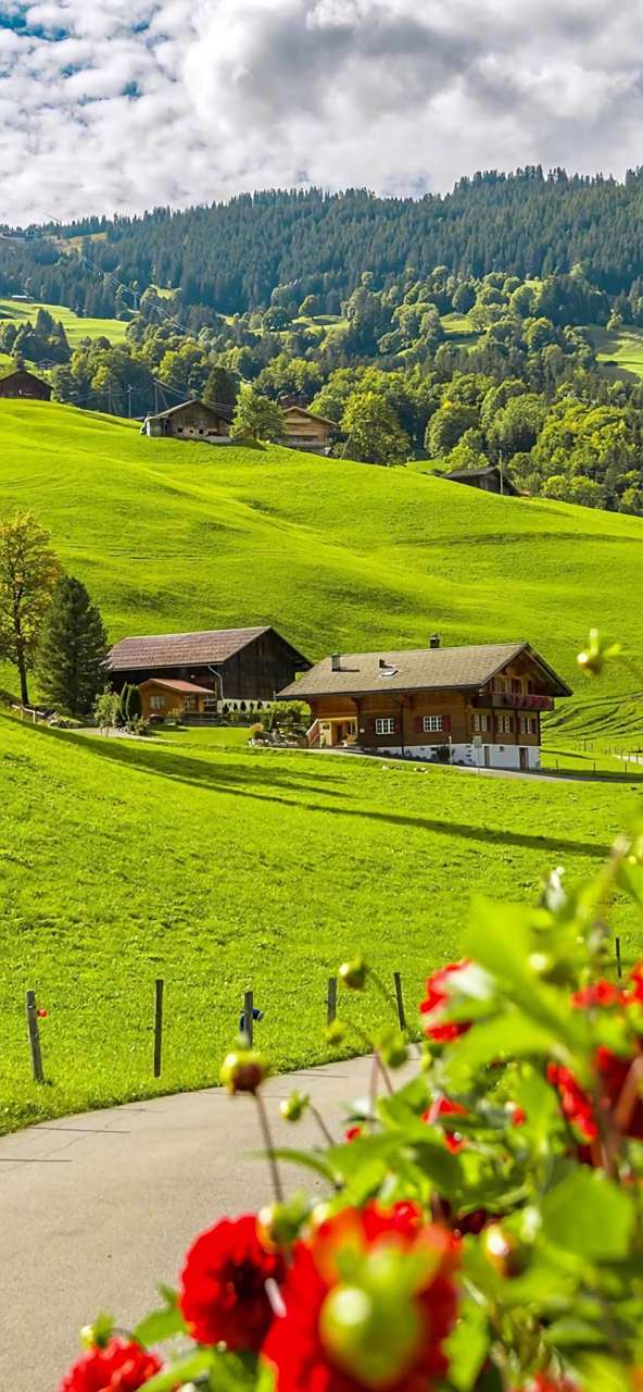 美景图片分享:#微信头像