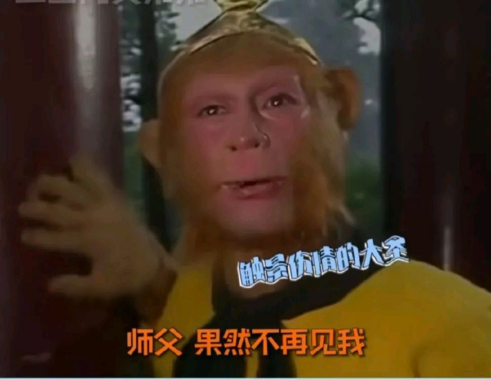 长大了才知道,菩提祖师才是孙悟空icon唯一的师父,他知道他是只小猢狲