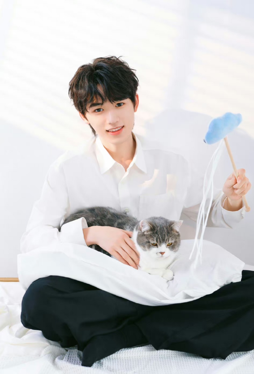 宋亚轩撸猫照来啦,另一种色彩打开方式,大家觉得猫猫可爱,还是轩轩