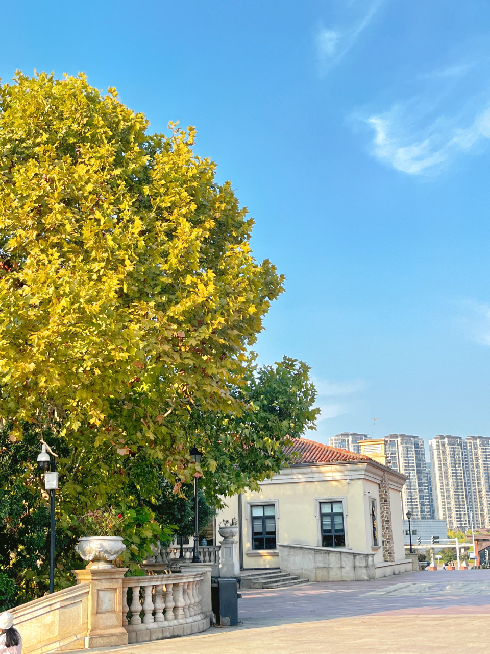 长沙适合一个人无聊闲逛的地方  小众人不多的公园,浏阳河婚庆文化