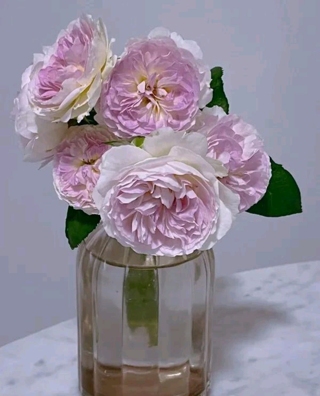 蓝色月光石(blue moonstone)-河本纯子,2020